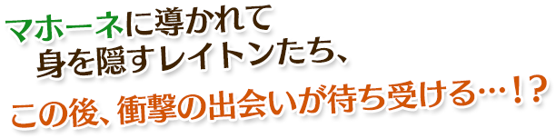 マホーネに導かれて身を隠すレイトンたち、この後、衝撃の出会いが待ち受ける…！？